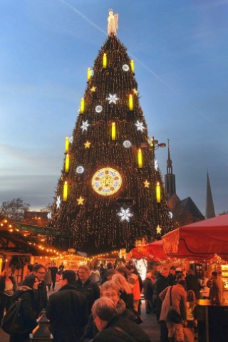 Die Riesentanne auf dem Weihnachtsmarkt wurde am Donnerstag, 24. November 2011, mit einer großen Nachbildung der Meisterschale geschmückt.Foto: Franz Luthe