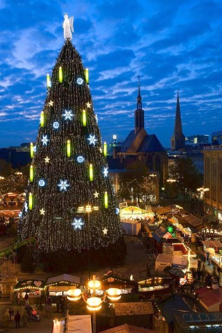 Weihnachtsbaum auf dem Dortmunder Weihnachtsmarkt ist zum ersten mal illuminiert am 17.11.2011. Foto: Knut Vahlensieck