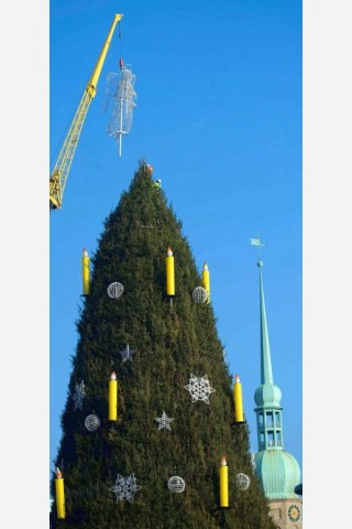 Der Engel wird auf der Spitze des Dortmunder Weihnachtsbaums angebracht. Riesentanne Weihnachtsmarkt.Foto: Knut Vahlensieck