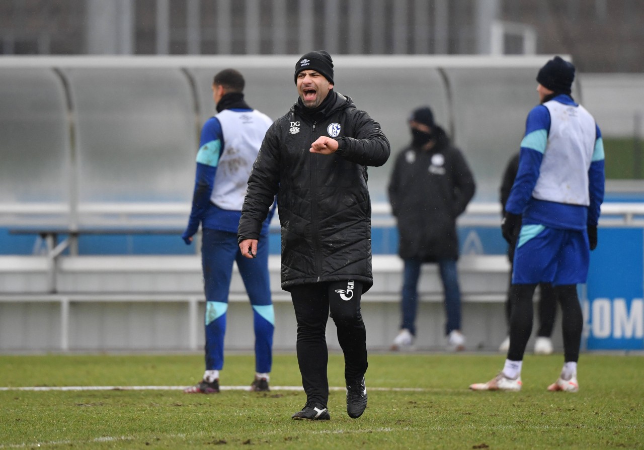 Der FC Schalke 04 und Trainer Dimitrios Grammozis treffen am Samstag auf Jahn Regensburg.