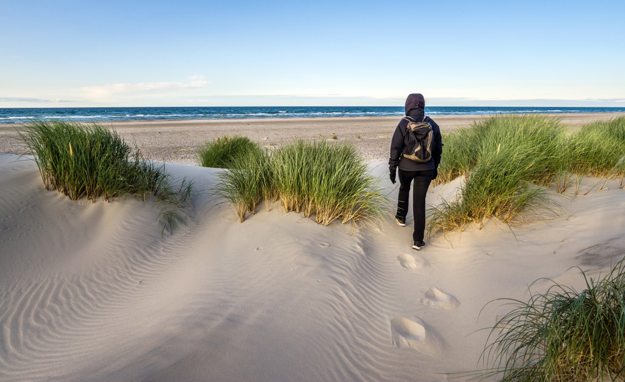 Urlaub an der Nordsee: Eine Frau spazierte über die Dünen Norderneys. 