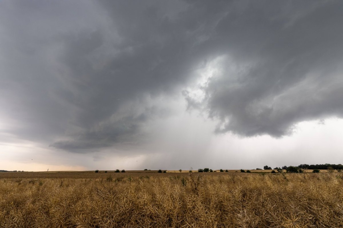 wetter.jpg