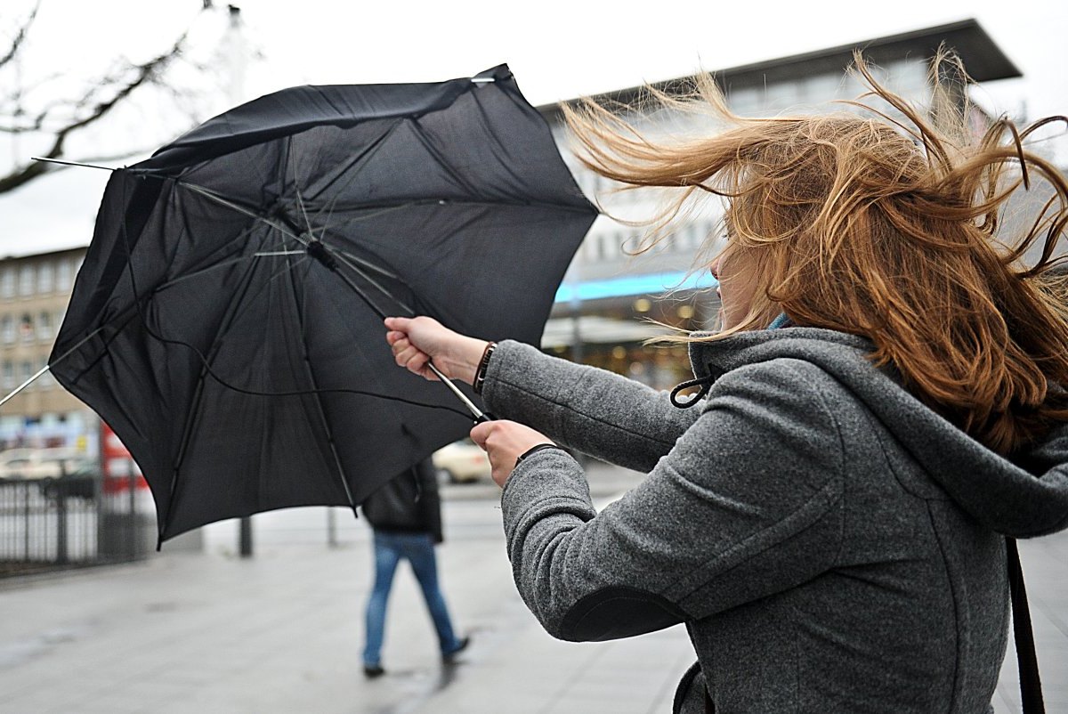 wind regenschirm essen.jpg