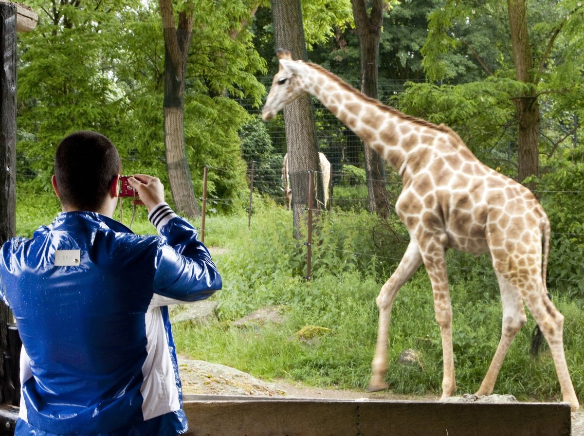 zoo dortmund geschlossen.jpg