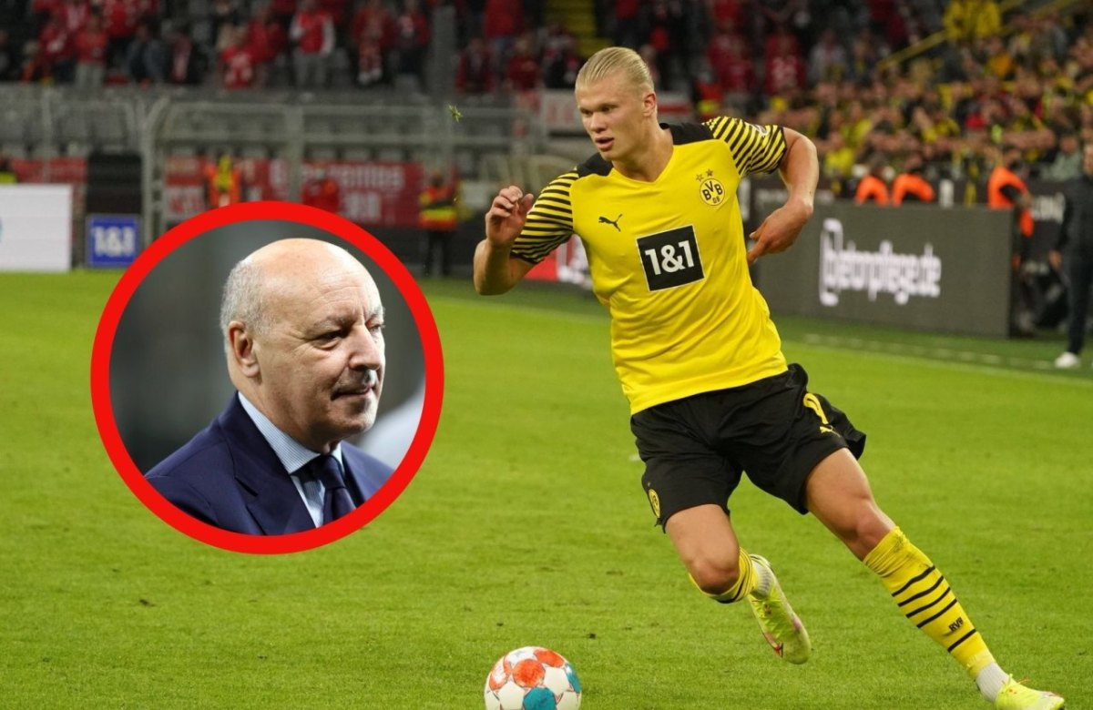 BVB Erling Haaland.jpg