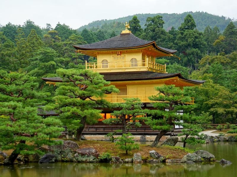 Der goldene Tempel Kinkaku-ji in Kyoto ist eine Sehenswürdigkeit der geschichtsträchtigen Stadt - Japan als Studienreiseziel ist im Trend.