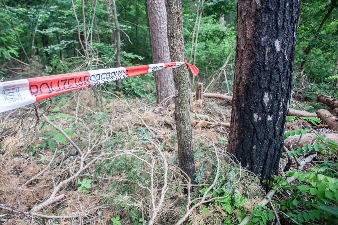 Dortmund: Menschliches Skelett Im Wald Gefunden - DerWesten.de