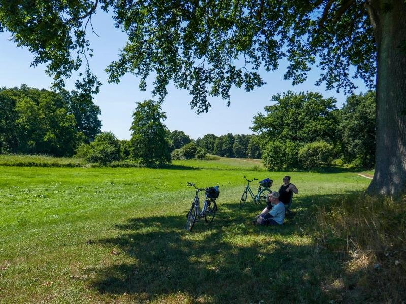 Eine Rast muss sein: Diese Radler pausieren auf dem Königskinderweg kurz vor Plön im Schatten.