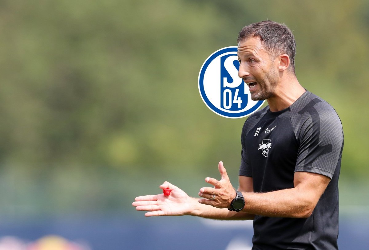 FC Schalke 04 Tedesco Vertrag.jpg