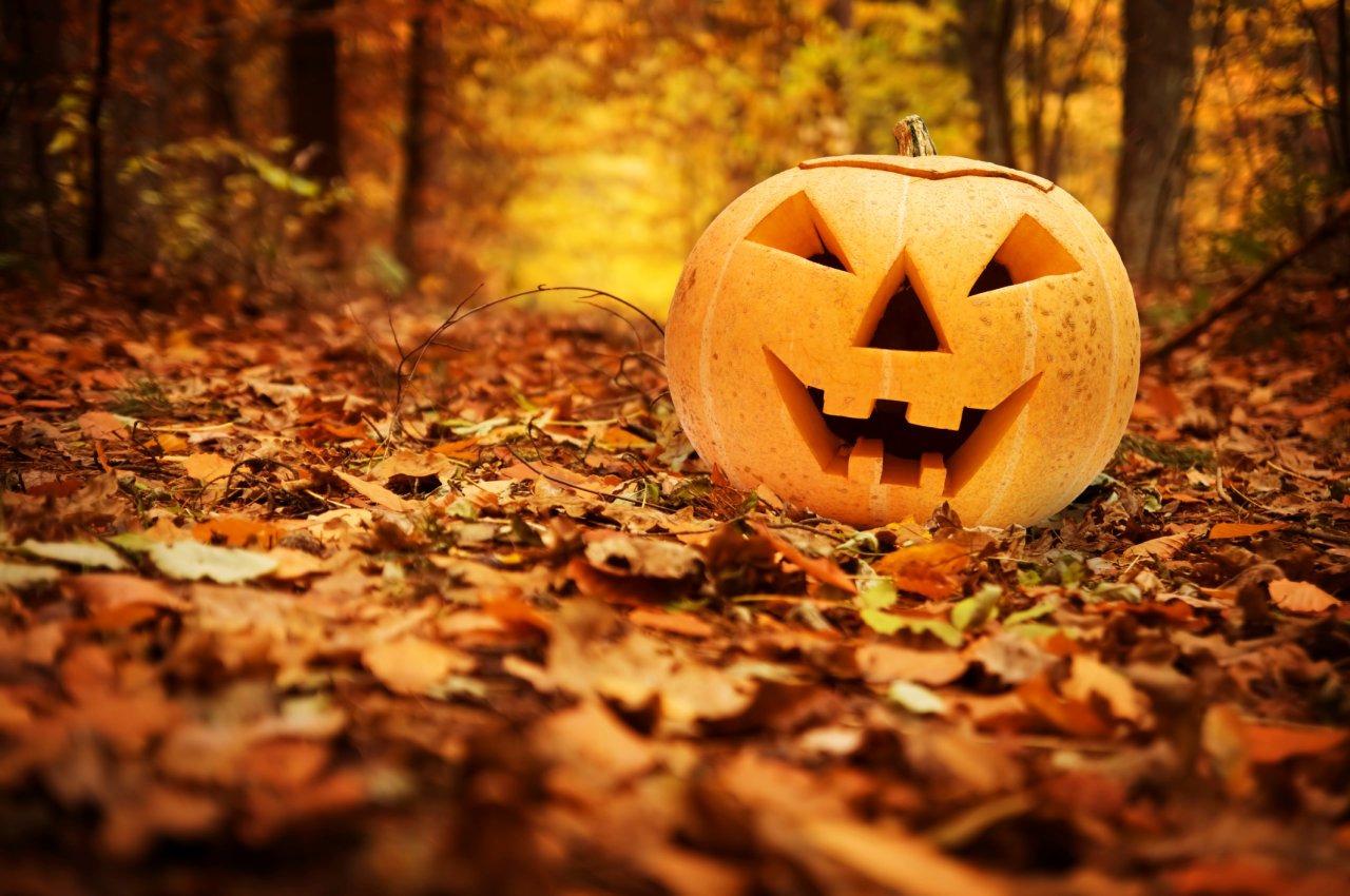 "Trick or Treat" - So wird Halloween weltweit gefeiert - DerWesten.de