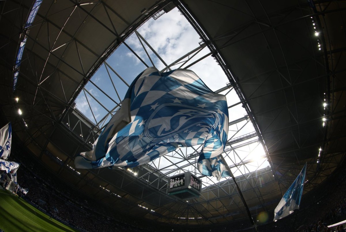 SFCV-Schalke.jpg