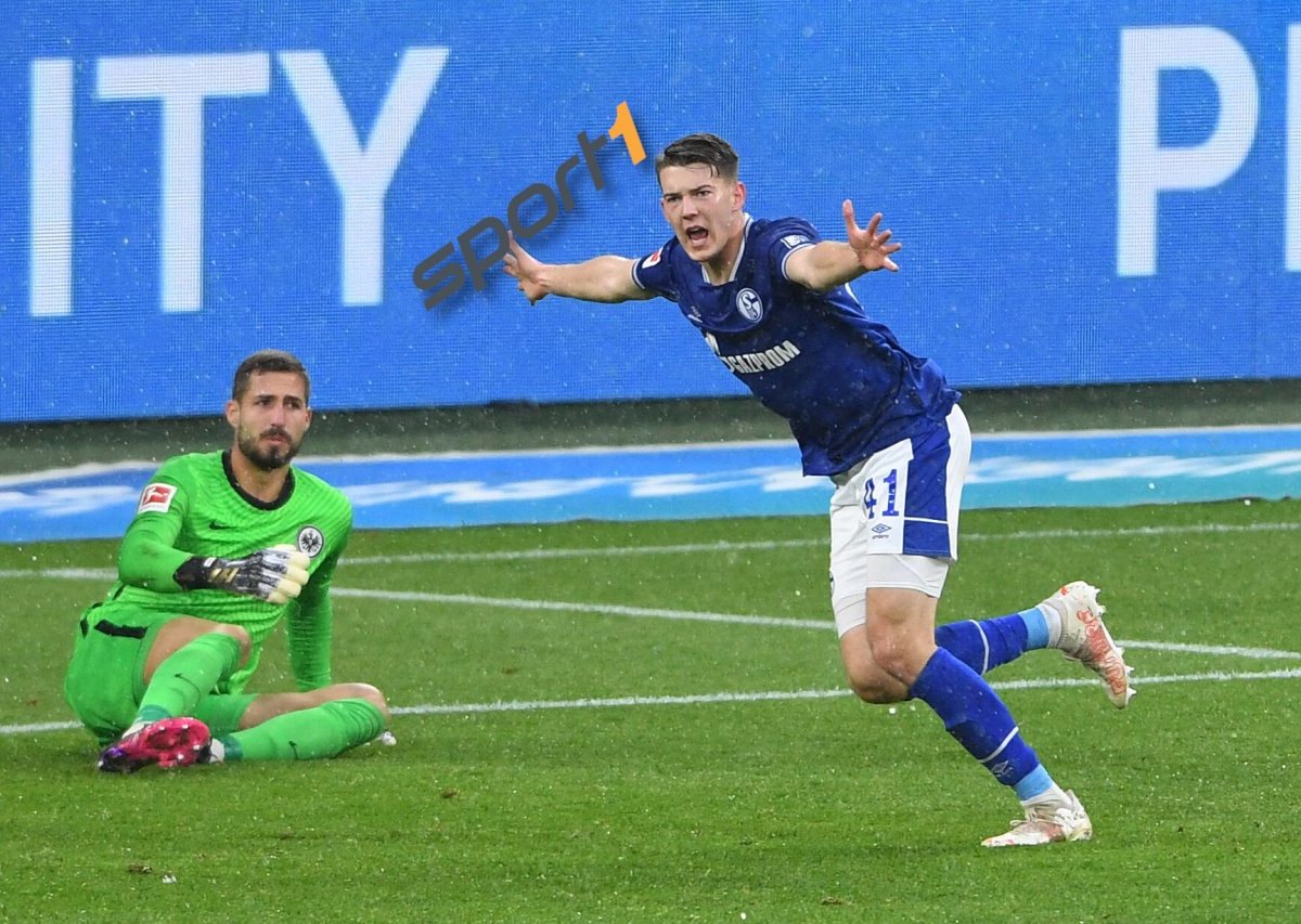 Schalke 04 Sport 1.jpg