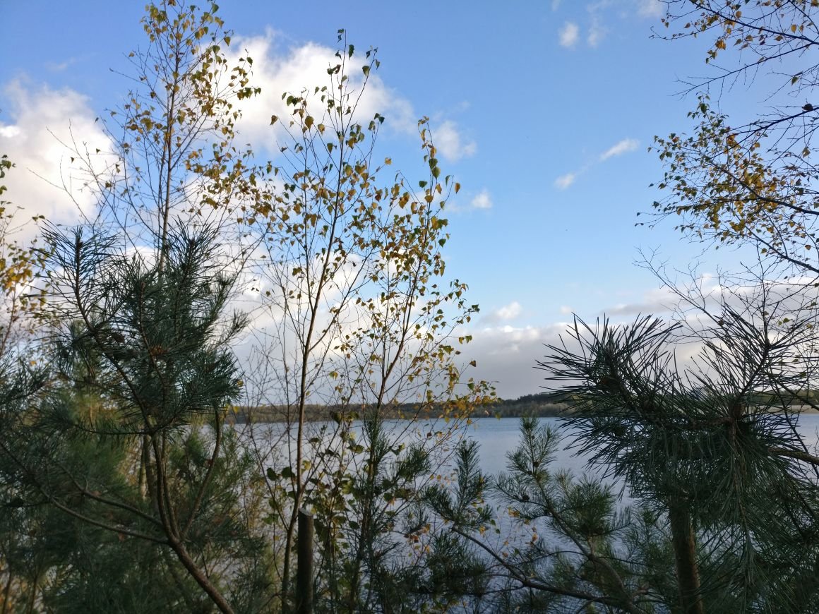 Silbersee Haltern am See Unglueck.jpeg