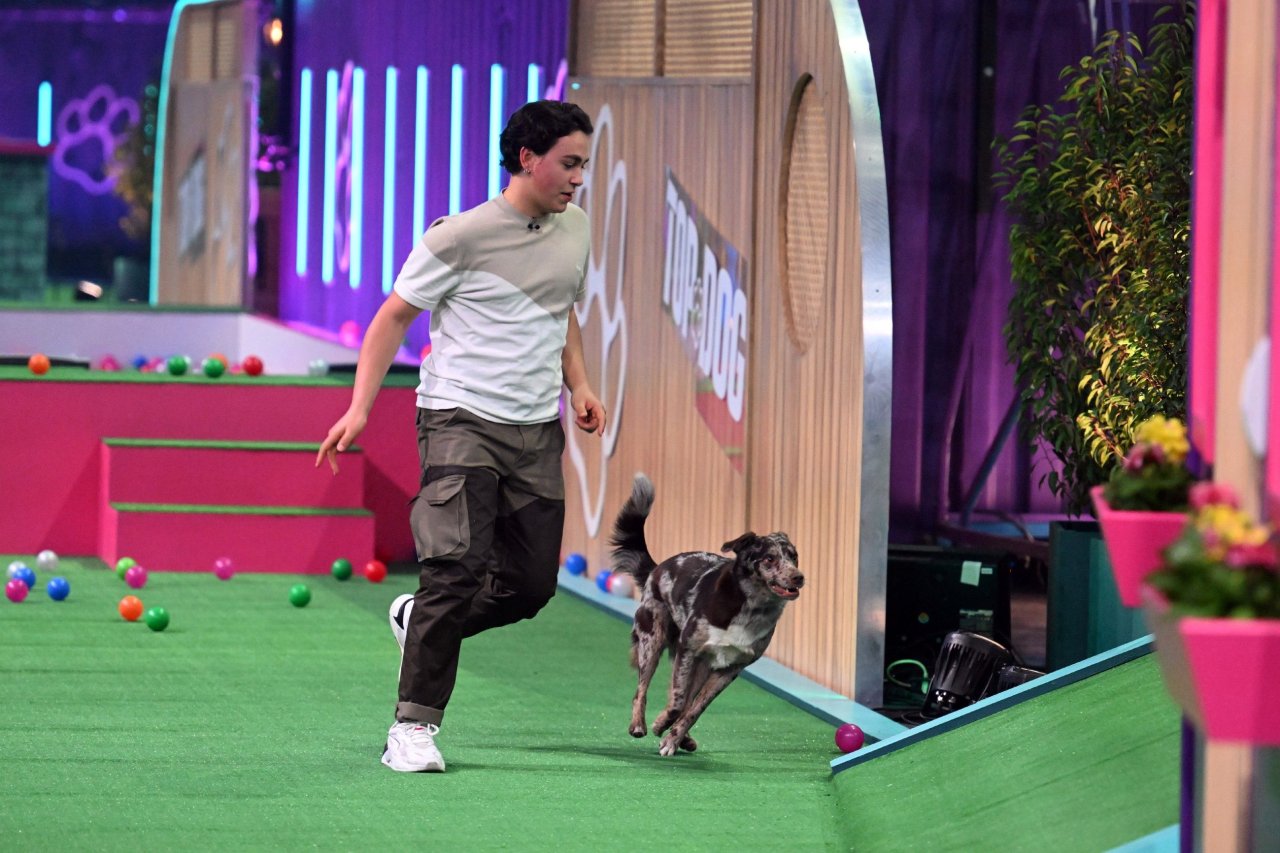 „Top Dog Germany“ (RTL) DIESE Hundegeschichte geht ans Herz DerWesten.de