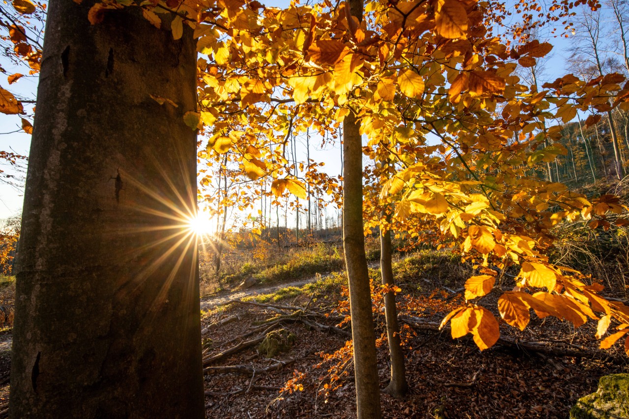 Wetter in NRW: Feiert die Sonne ein Comeback? (Symbolbild)