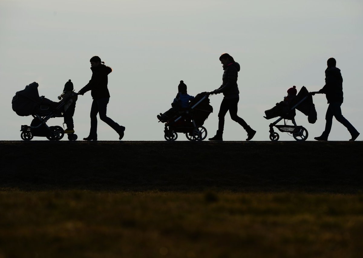 kindergeld-betrug-experte.jpg