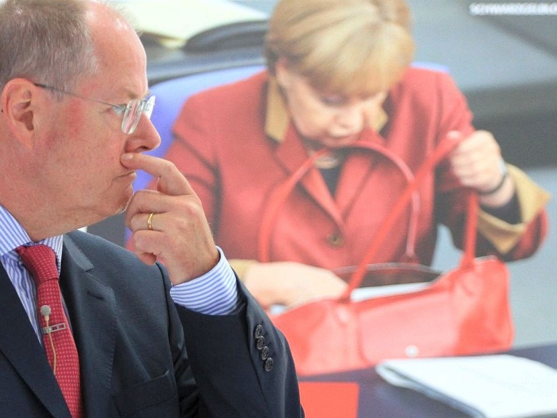 Privatsphäre - Neuland für Merkel? steht unter dem Plakat, das die Kanzlerin in ihrer Handtasche kramend zeigt. Damit will die SPD auf den Umgang Merkels mit der NSA-Spähaffäre anspielen.