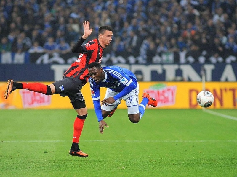 Die königsblauen Tore erzielten Chinedu Obasi und Klaas-Jan Huntelaar.