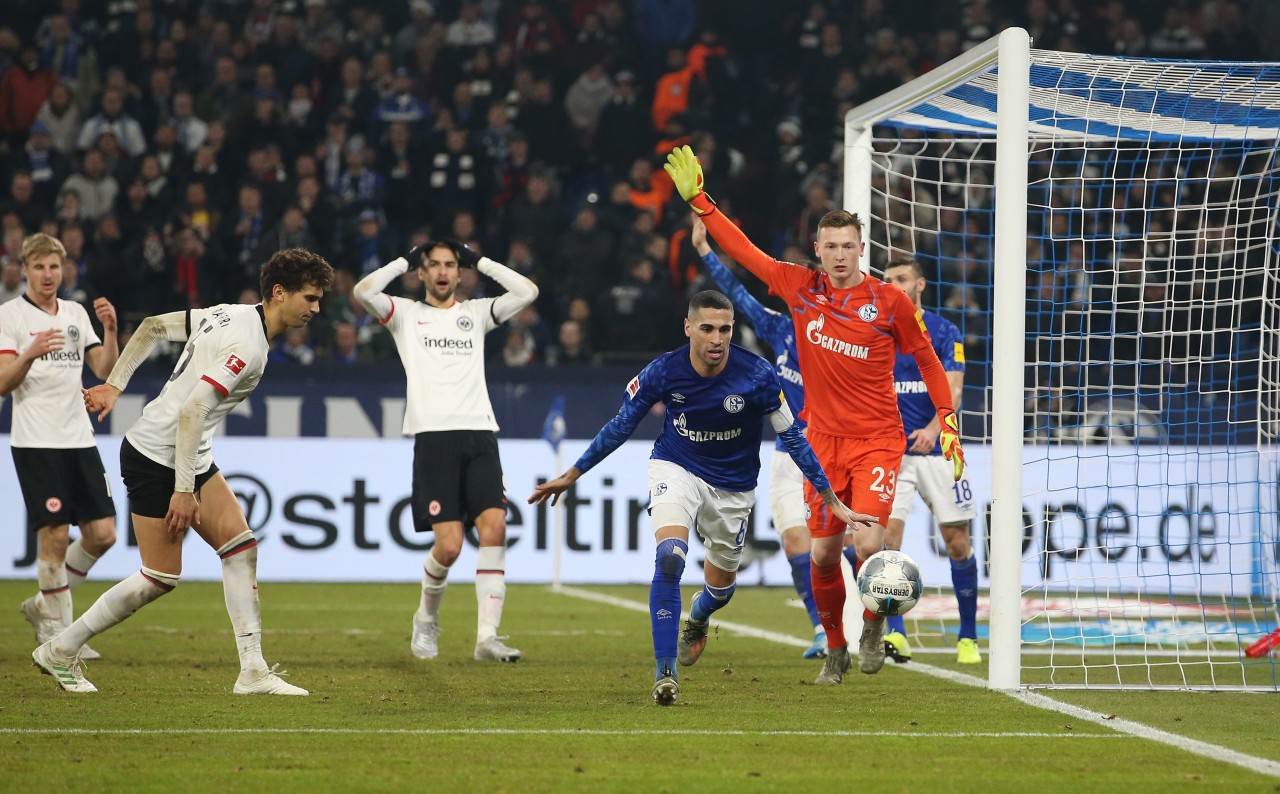 Der FC Schalke 04 darf sich im Sommer auf einen Rückkehrer freuen. (Symbolbild)