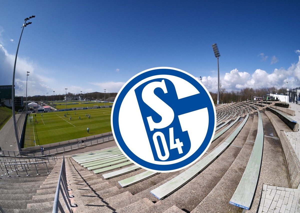 schalke-ticket-panne.jpg