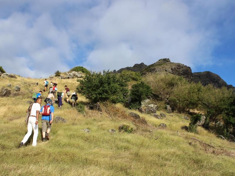 Anfangs führt der Weg auf den Le Morne noch sanft durch Wiesen. Doch am Ende wird es zu einer echten Kletterpartie.