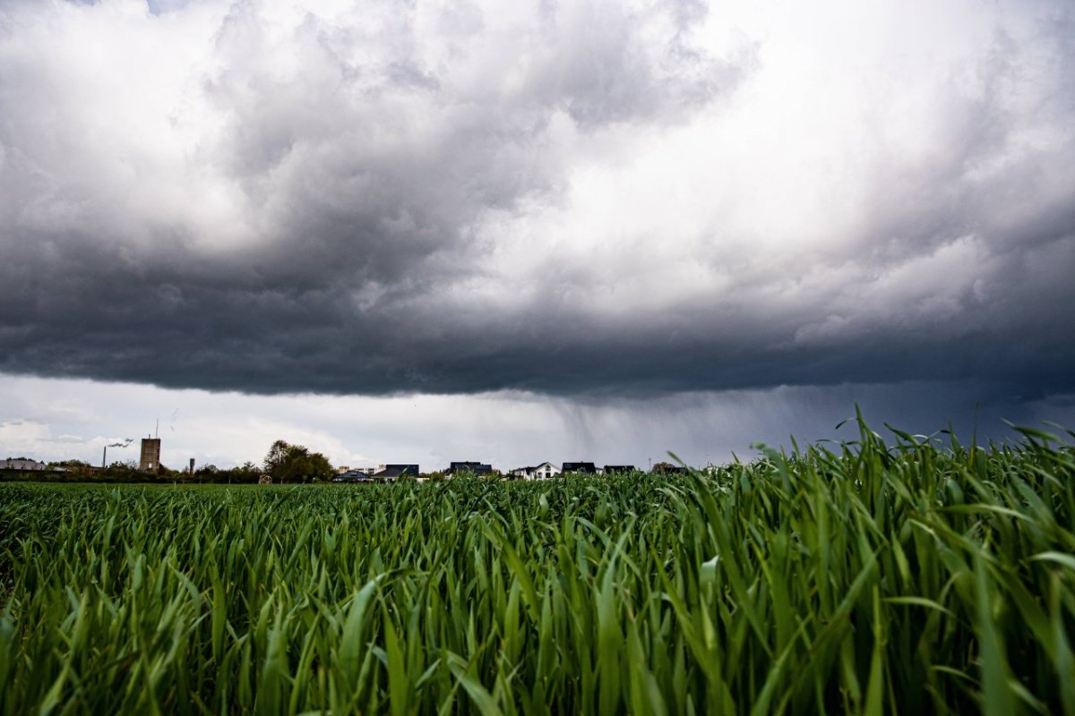 wetter-nrw.jpg