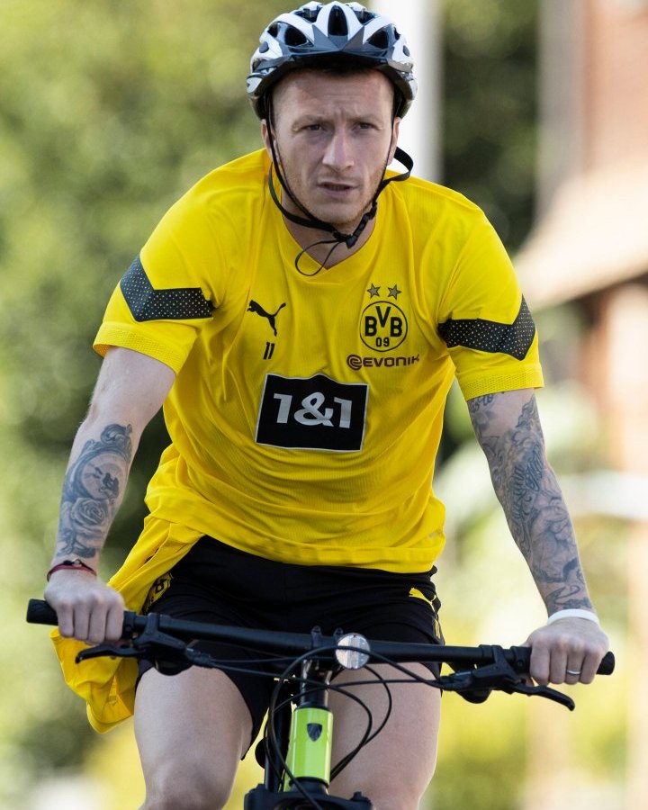 bvb-reus