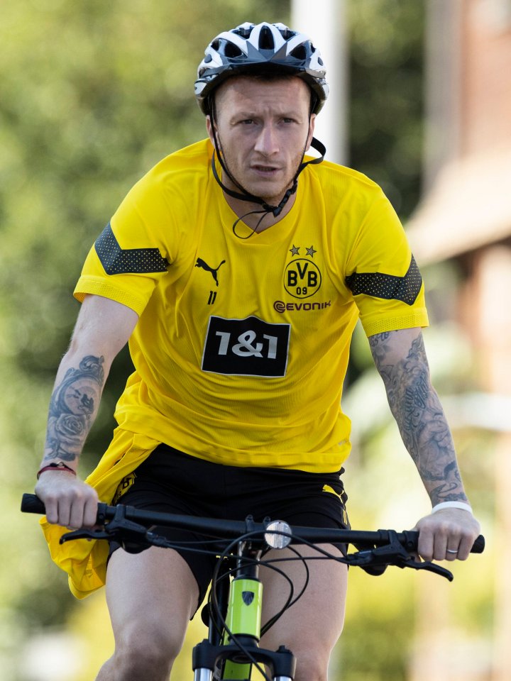 bvb-reus