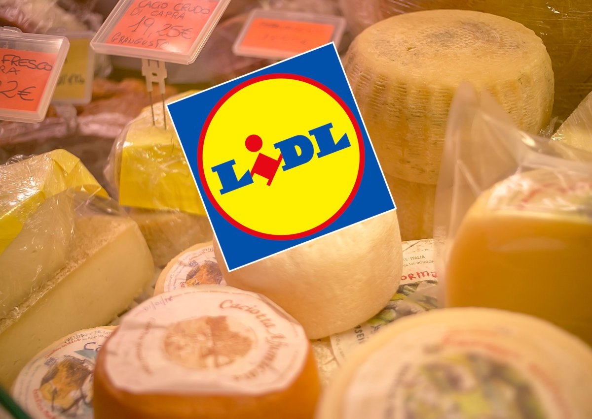 lidl kÃ¤se.jpg