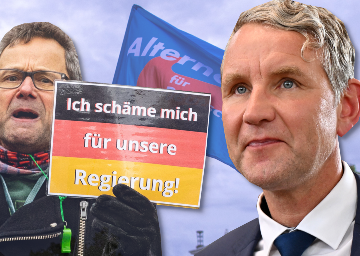 AfD Höcke AfD