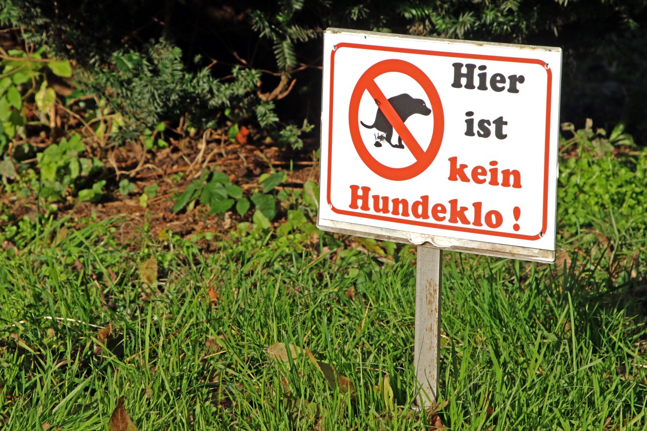 Hund in NRW: Ein Grab ist kein Hundeklo, beschweren sich die Friedhofsbesucher. (Symbolbild)