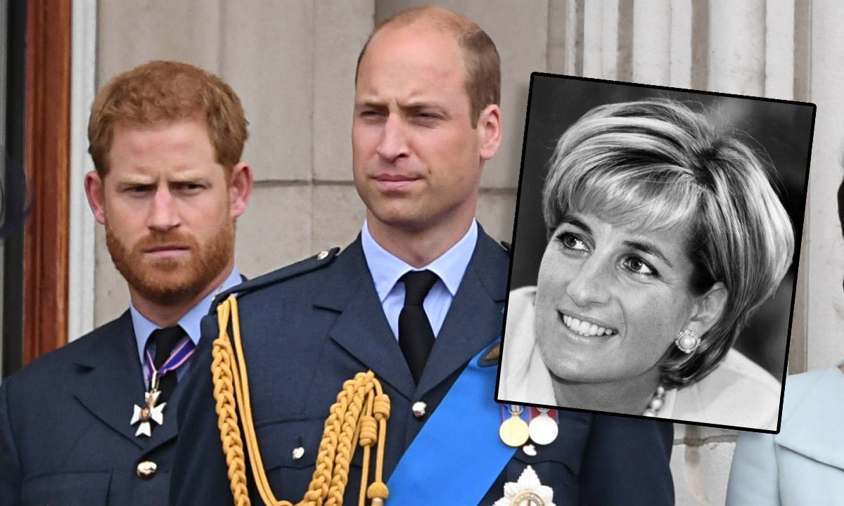 lady-diana-kinder-william-harry.jpg