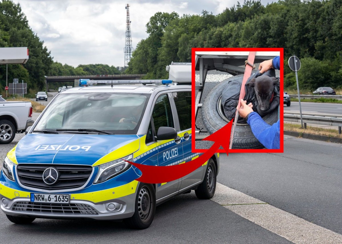 Hund-polizei.jpg