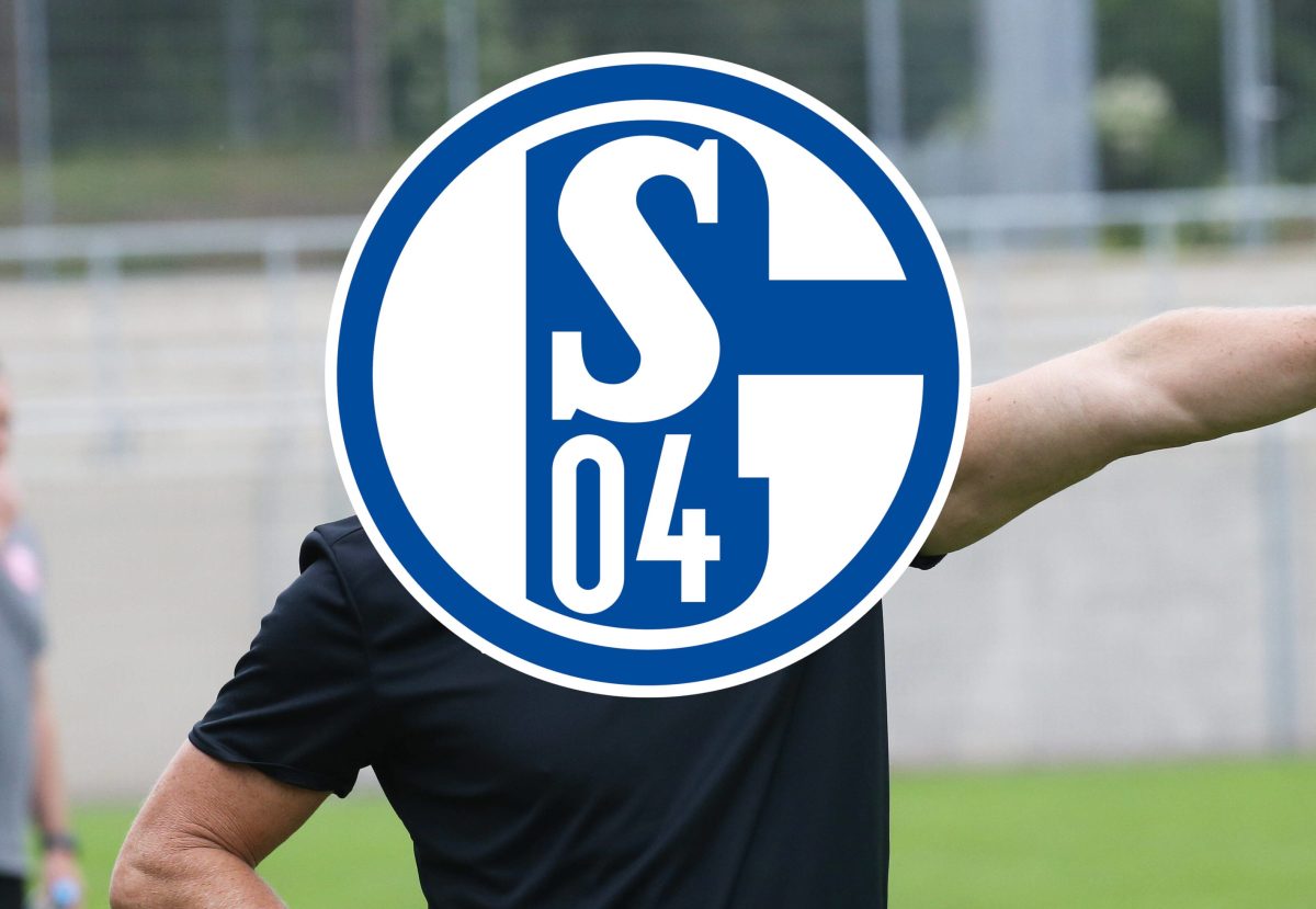 FC Schalke 04 Norbert Elgert