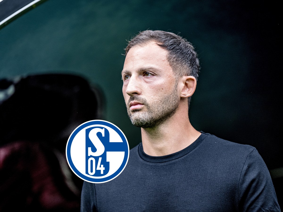 FC Schalke 04 Tedesco