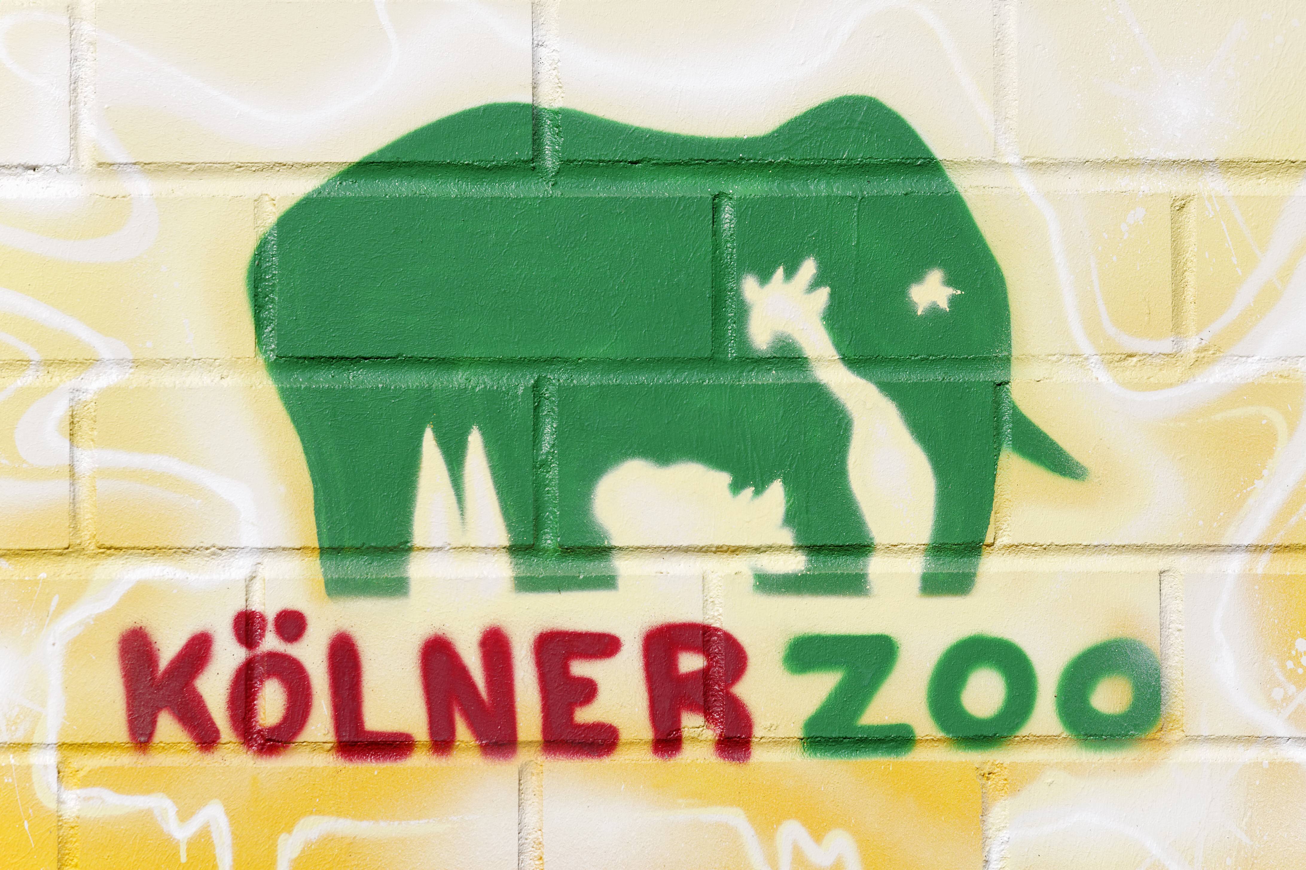 Kölner Zoo Trauriger Abschied diese Tiere gibt es nicht mehr dort