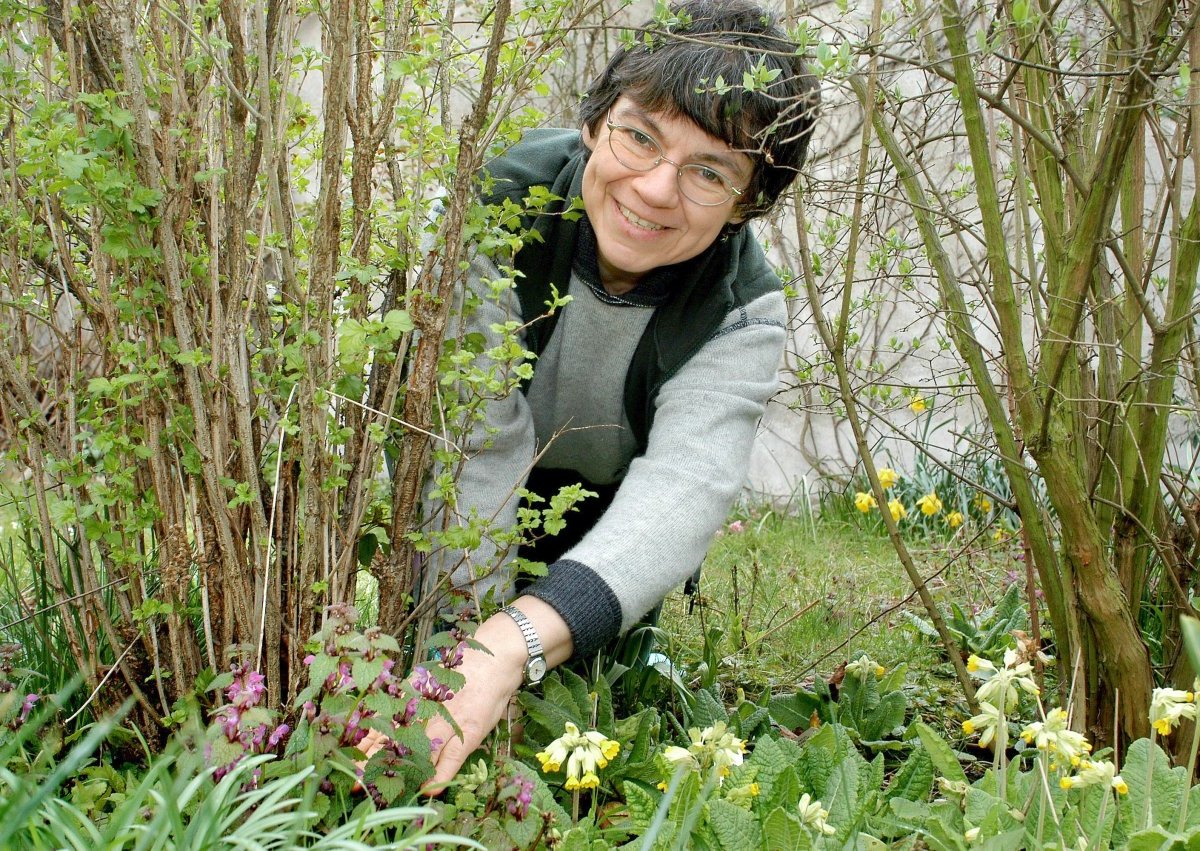 Monika Gründer und ihr Naturgarten_0.jpg