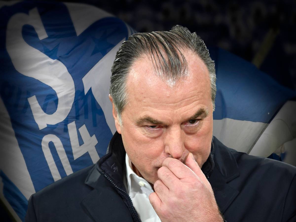 Tönnies FC Schalke 04