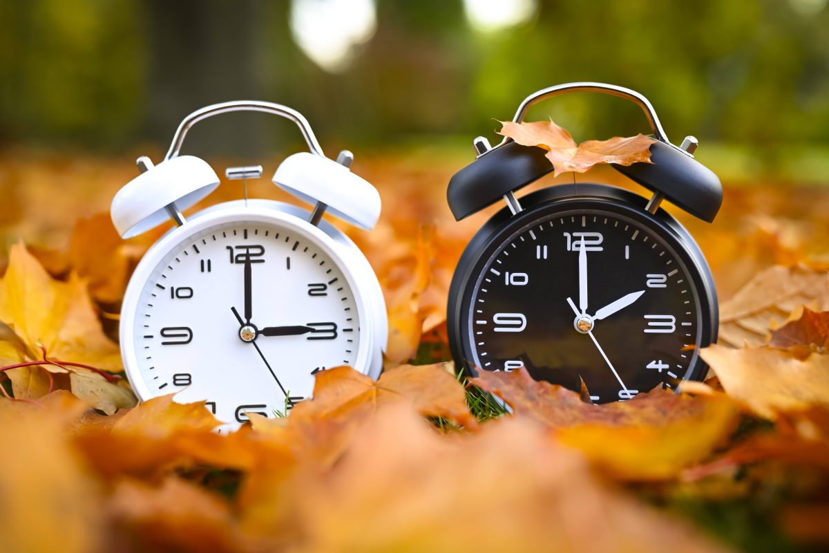 Zwei Uhren auf Blätterboden