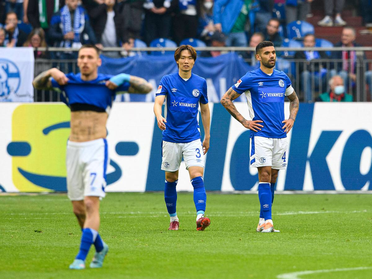 FC Schalke 04 Palsson