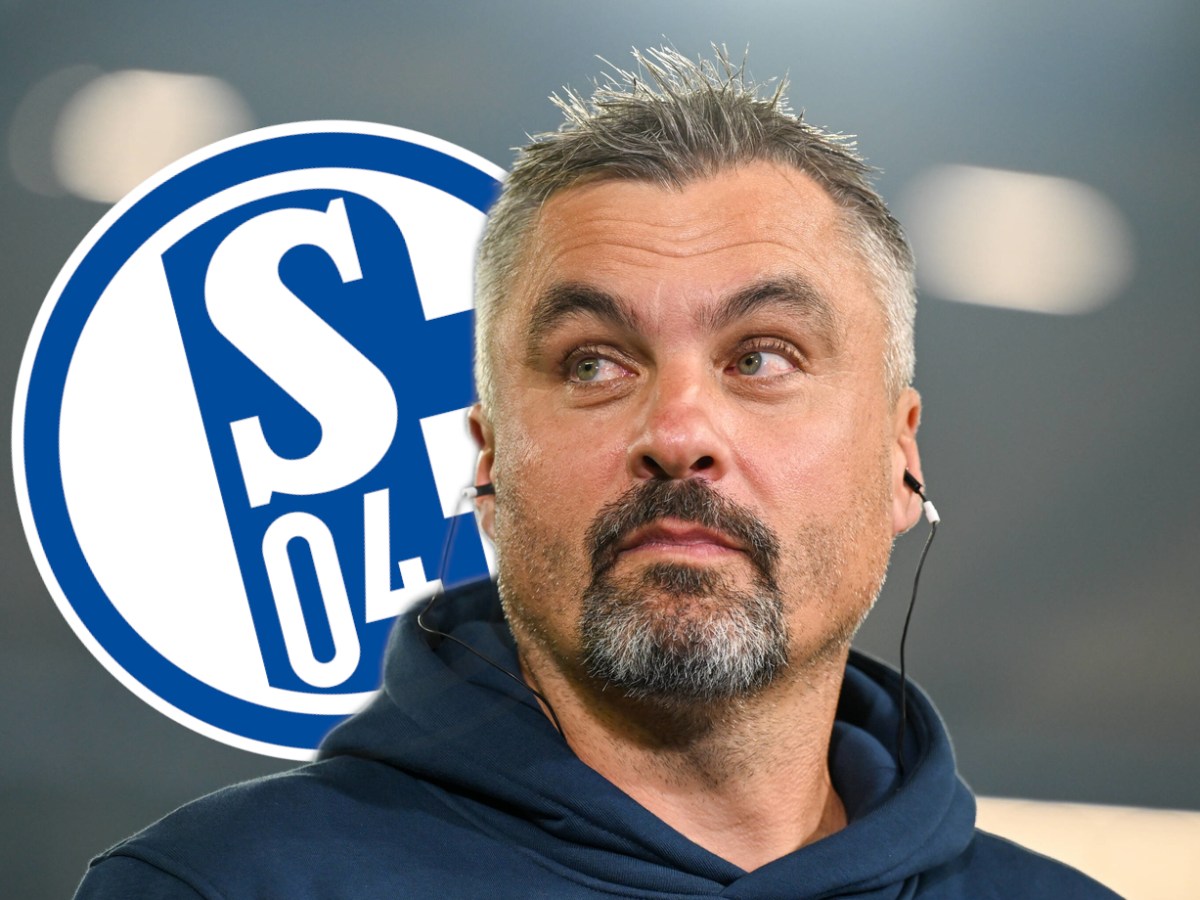 Thomas Reis schaut auf das Wappen des FC Schalke 04.