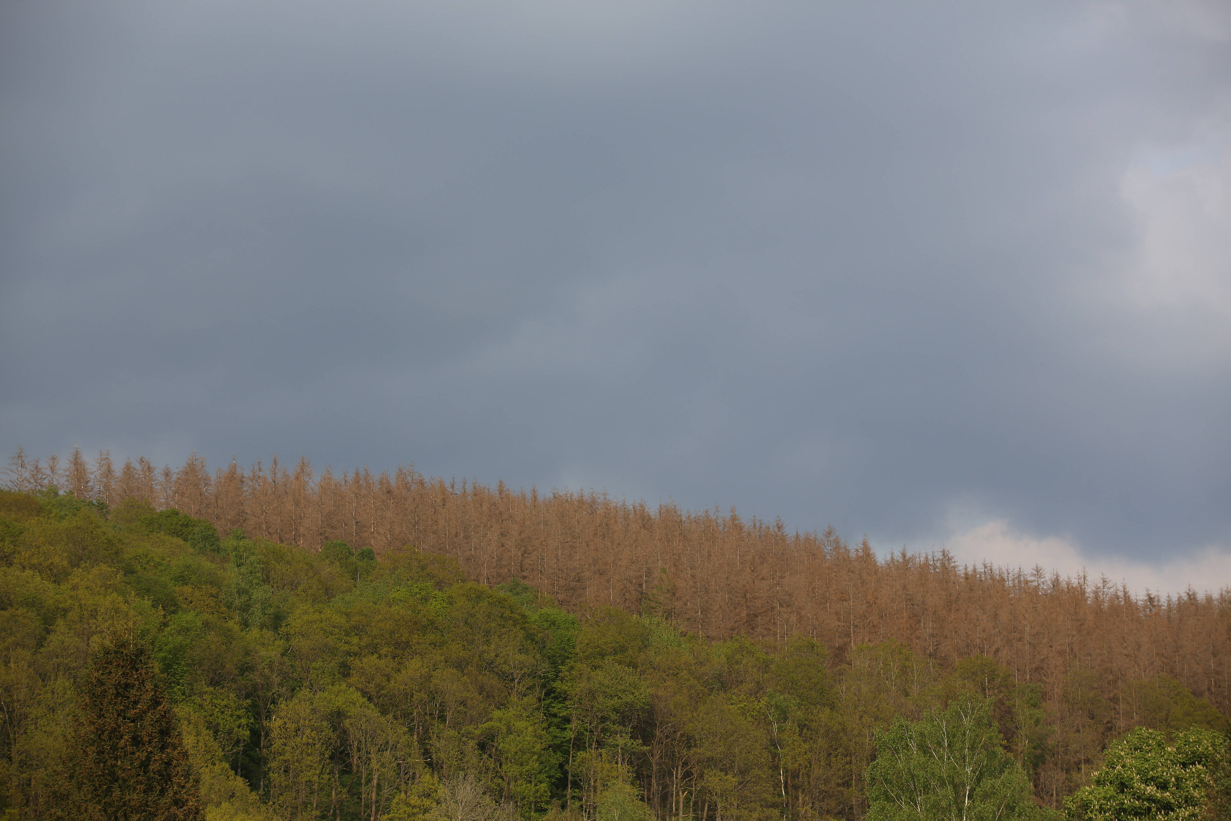 Wetter In NRW: Experten Schlagen Alarm – Dieses Phänomen Jetzt Sichtbar ...