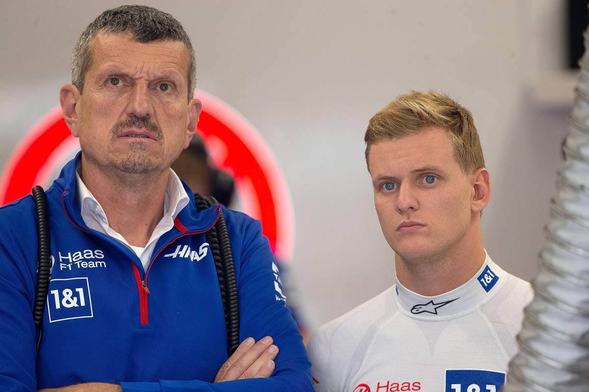 Formel 1 GÃ¼nther Steiner