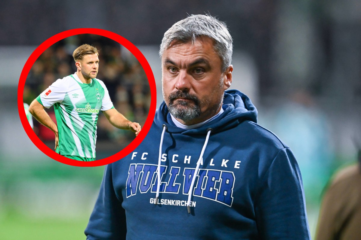 Schalke-Trainer Thomas Reis schaut auf Bremen-Stürmer Niklas Füllkrug.