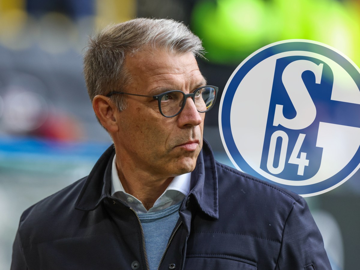 Peter Knäbel schaut auf das Wappen des FC Schalke 04.