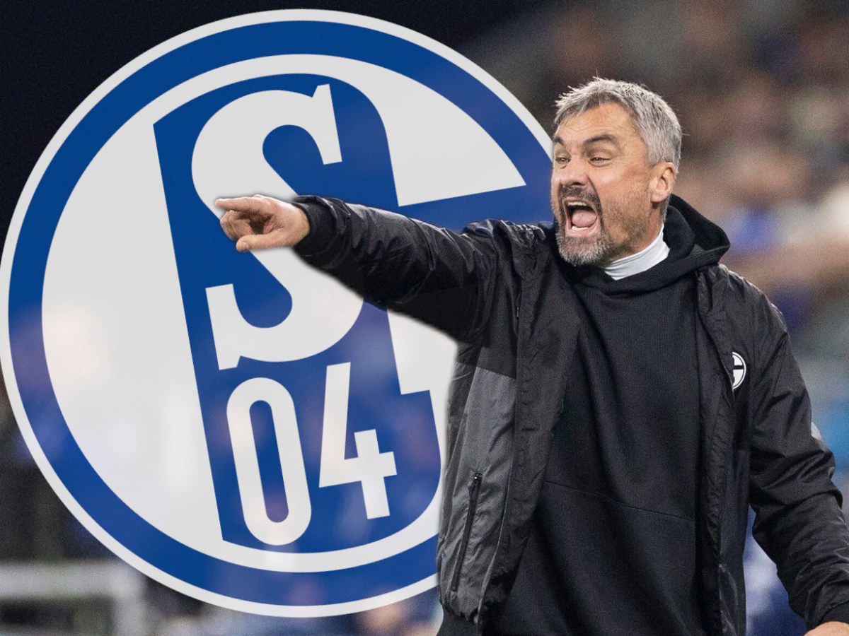 Schalke-Trainer Thomas Reis schreit und gestikuliert.