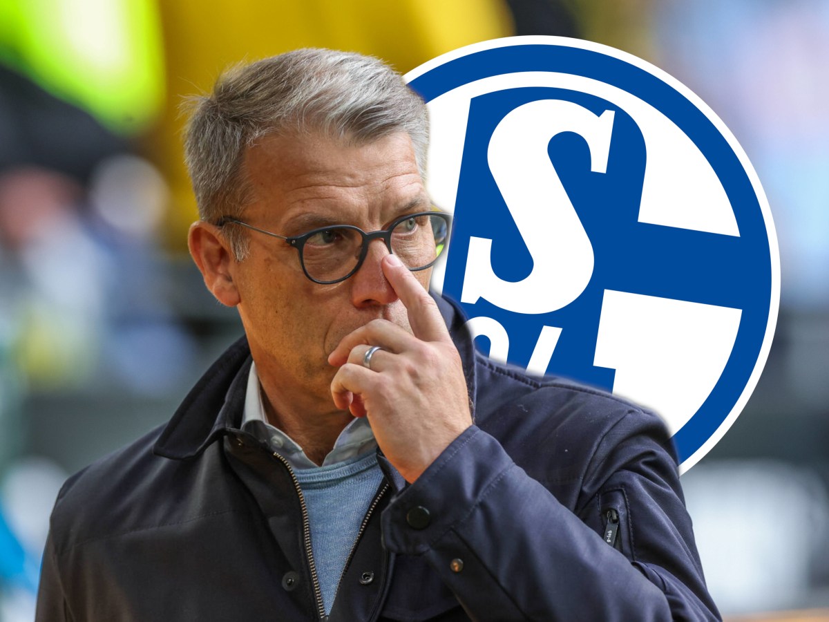 FC Schalke 04: Peter Knäbel machte ein Versprechen.