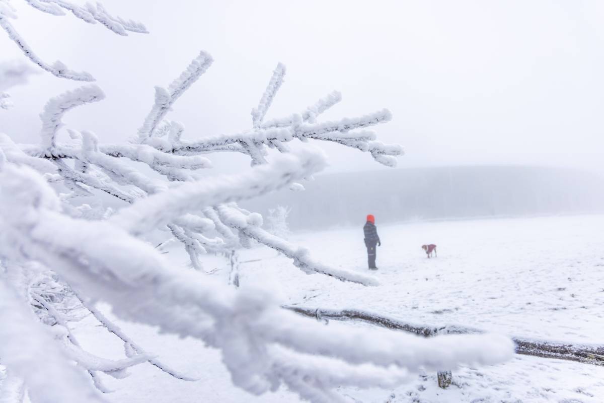 Wetter in NRW: eine Schneelandschaft