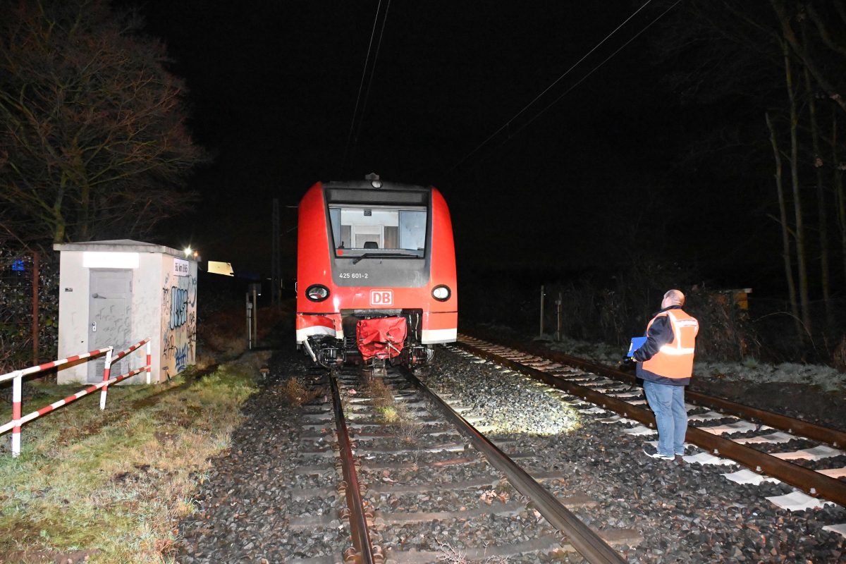 Deutsche Bahn In NRW Dramatischer Zug Unfall Zwei Pferde Berrollt   Pulheim 20230102 1 E1672739588116 