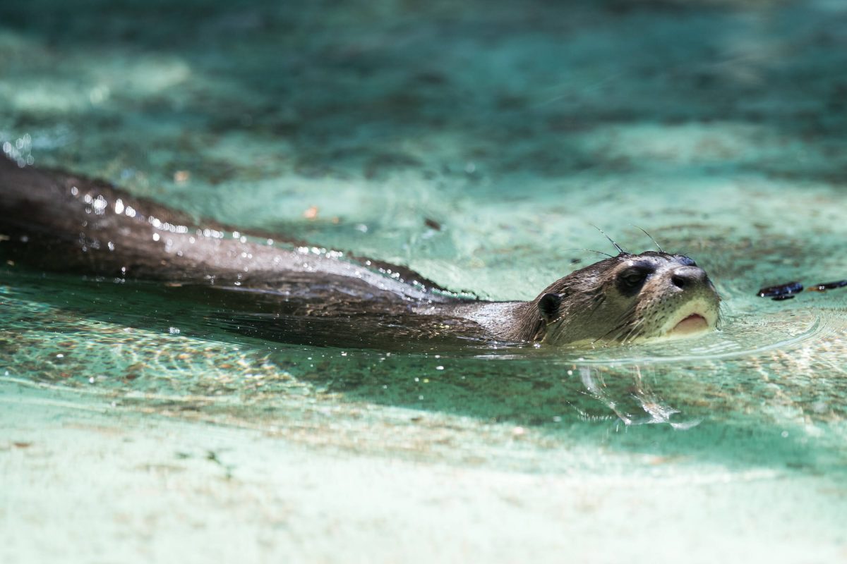 Zoo Dortmund